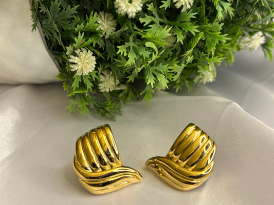 Suits Any Earrings