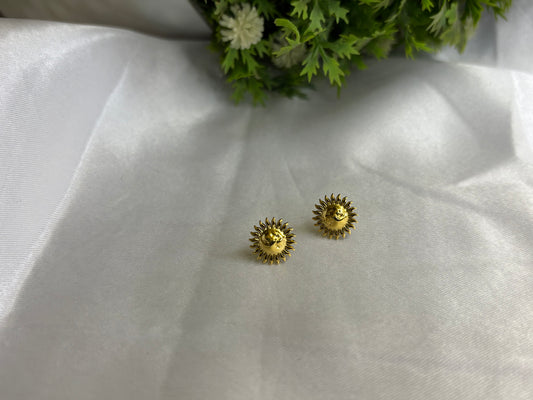 Earing 22